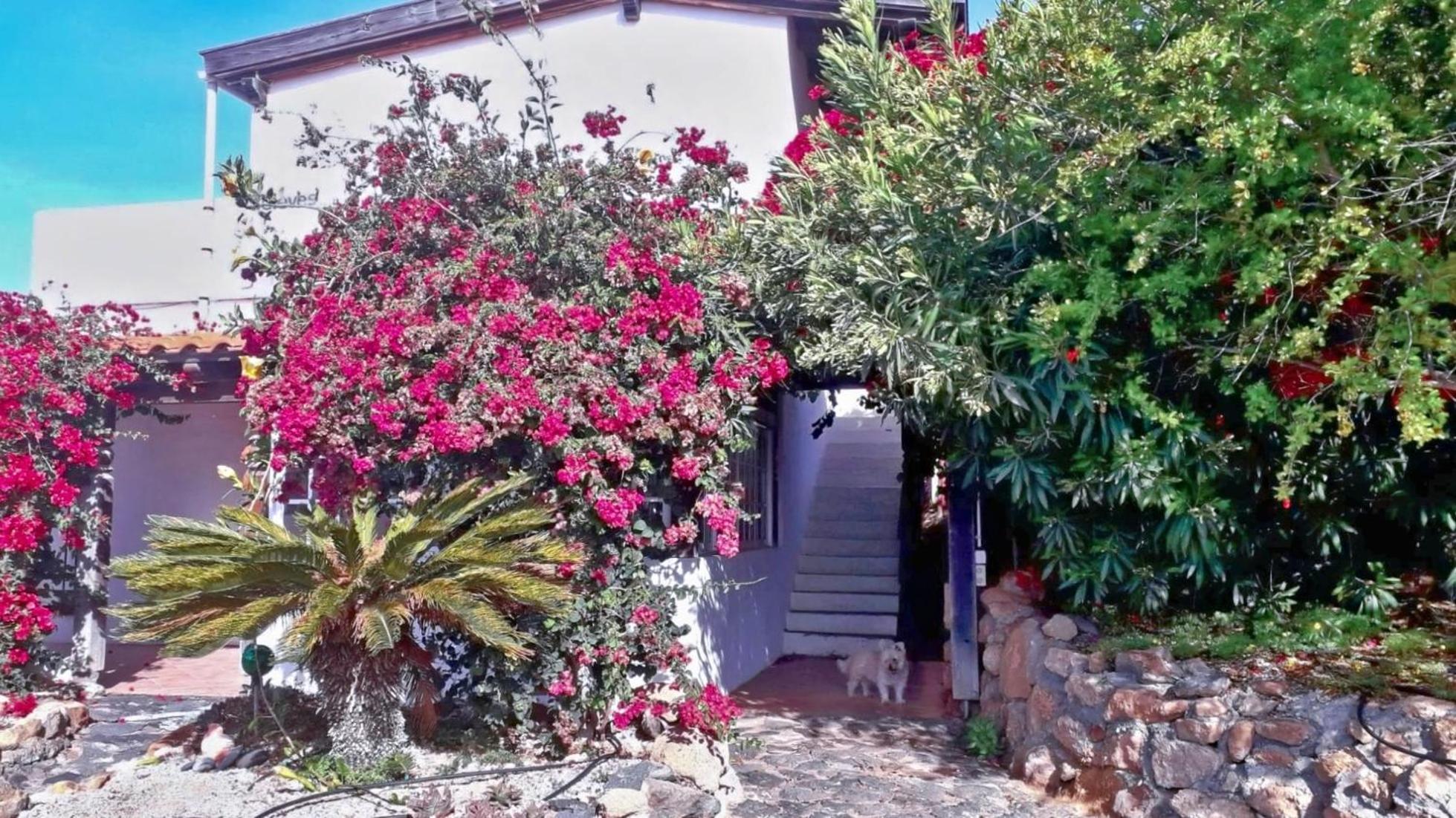 -Casa Azul-Arico Viejo La Sabinita - Baden, Wandern, Klettern, Individualurlaub Jenseits Des Massentourismus, Villa Exterior photo